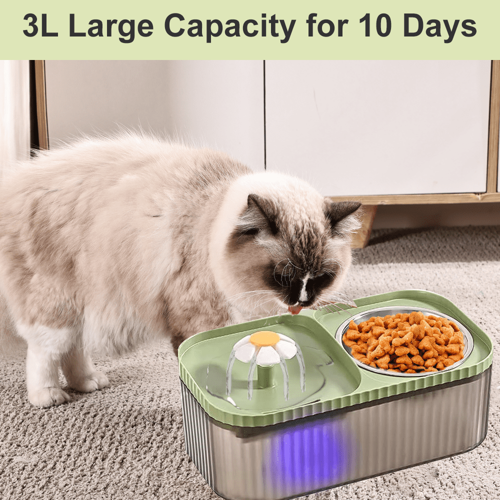 Marchul 3L Cat Water Fountain & Food Bowl, Automatic Pet Water Dispenser with Stainless Steel Cat Bowl Set, BPA-Free, 3 Replacement Filters, Green