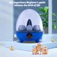 thumbnail image 3 of Criadores Incubadoras para huevos para incubar Incubadora de 8 huevos con luz LED Control de temperatura Vista de 360 grados Incubadoras de huevos de gallina para pato ganso codorniz pájaro para es, 3 of 8