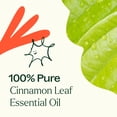 thumbnail image 5 of Plant Therapy Cinnamon Leaf Essential Oil 30 mL (1 oz) 100% Pure, Undiluted, Natural Aromatherpay, 5 of 8