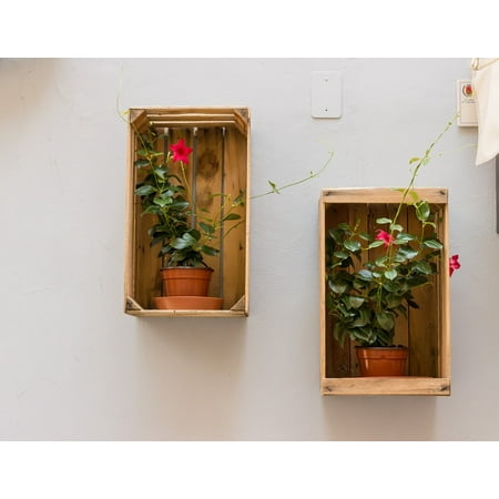 Peel N Stick Poster Of Flowerpot Decoration Flower Pots Wall Box