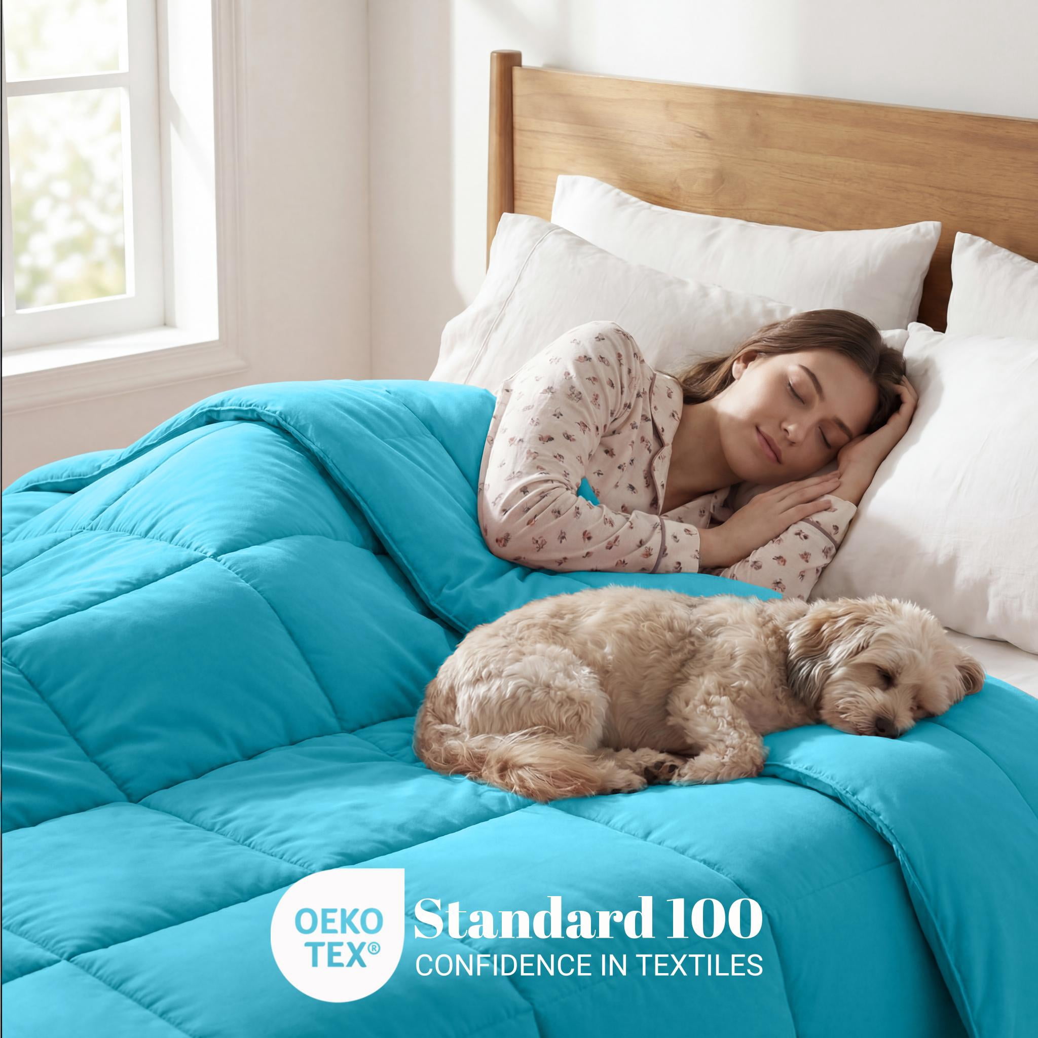 Superior Solid Comforter Down Alternative Bedding, King, Winter Blue