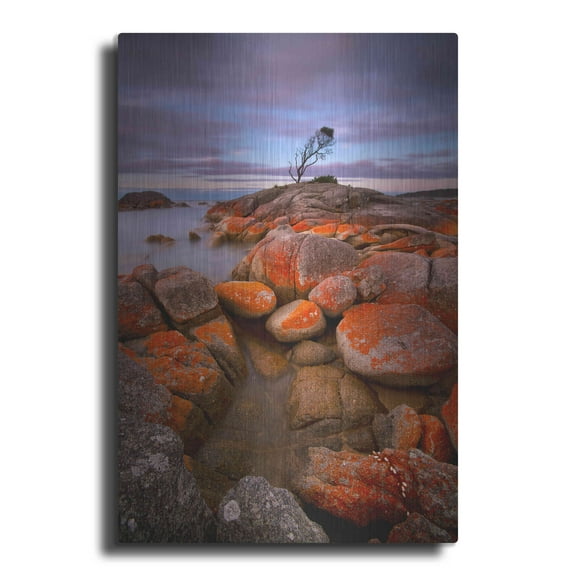 Luxe Metal Art 'Binalong Bay' by Everlook Photography, Metal Wall Art, 12"x16"