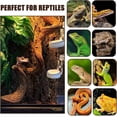 thumbnail image 5 of 2PCS Natural Reptile Climbing Branches Decor,1.8-2.25" Thick Natural Snake Climbing Forest Wood with Plant Leaf Decor,Lizard Forest Branch,Geckos Tank Tree Trunk Accessories for Bearded Dragons（L）, 5 of 7