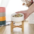 thumbnail image 6 of Lionwei Elevated Ceramic Cat & Dog Bowl with Non-Slip Wooden Stand for Pets, Solid, 6 of 7
