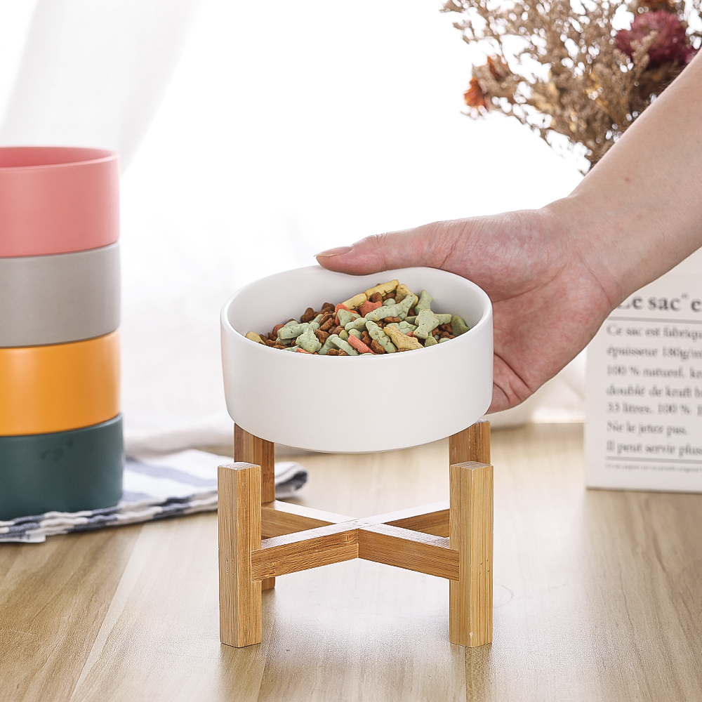 Lionwei Elevated Ceramic Cat and Dog Bowl photo 5