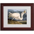 thumbnail image 3 of Trademark Fine Art "Great White Heron" Canvas Art by John James Audubon, Wood Frame, 3 of 3