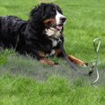 thumbnail image 2 of Chrome Dog Stake - Heavy-duty Tie-out - For Dogs, 2 of 4
