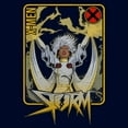 thumbnail image 2 of Mens Marvel Storm Pose Frame Sweatshirt, 2 of 4