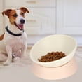 thumbnail image 3 of Comedero inclinado para perros y gatos (blanco), 3 of 11