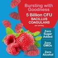 thumbnail image 4 of YUM-V’s Probiotic Gummies, Probiotics Supplement for Gut Health Support, Berry Flavor, 60 Count, 4 of 9