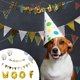thumbnail image 5 of 1 juego de 18 globos de aluminio con forma de perro, pancartas de cumpleaños, suministros para fiestas, 5 of 6