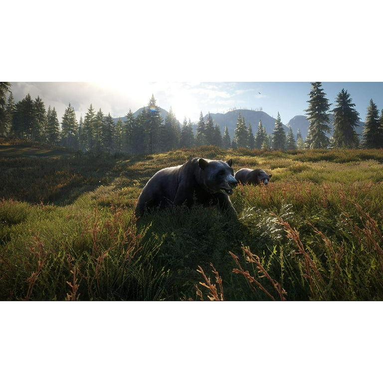 naturlig mild Pelmel The Hunter: Call of the Wild 2019 Edition, THQ, PlayStation 4 - Walmart.com