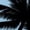 Black-4, variant on UNISHE Women's "Vintage Beach Sunset" Minimalist Palm Tree Short Sleeve T-Shirt Casual Cotton Crewneck Top