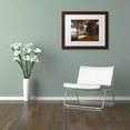 thumbnail image 4 of Trademark Fine Art "Hawaii 5" Canvas Art by Jason Shaffer, White Matte, Wood Frame, 4 of 4
