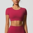 thumbnail image 3 of Nmnitkp Workout Tops for Women Compression Fit Crop Tops for Women Short Sleeve Women's Tops Multicolor Activewear Yoga, 3 of 8