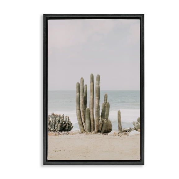 Stupell Industries Cactus on Beach Shore Landscape & Nature Photography Black Floater Framed Canvas Art Print Wall Art, 17 x 25