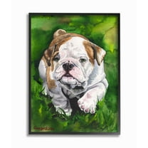 Stupell Industries English Bulldog Puppy Dog Pet Animal Watercolor Painting Framed Giclee Texturized Art by George Dyachenko