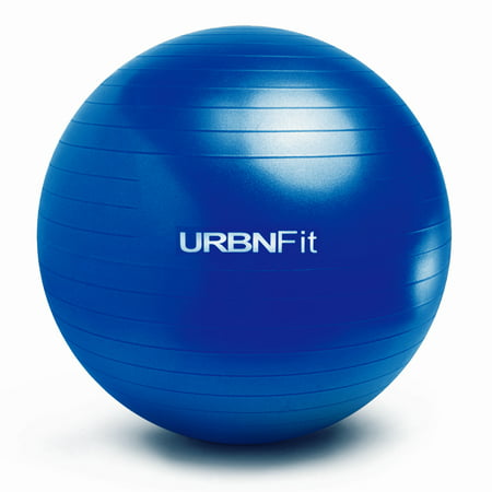 UPC 640626011075 product image for Exercise Ball (65 CM) for Stability & Yoga - Workout Guide Incuded - Professiona | upcitemdb.com