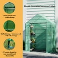 thumbnail image 5 of 29 x 56 x 75" Walk-in Greenhouse - Thicken PE Cover & Heavy Duty Frame. Durable 3-Tier 4-Shelf Plant House for Patio, Backyard, Outdoor. ESL Greenhouses, 5 of 8