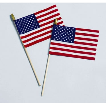 Allied Flag 12 in x 18 in Cotton Handheld American Stick Outdoor Flags