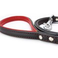 thumbnail image 3 of Asa Forrada Correa de Perro Neopreno Entrenamiento Seguridad Caminando Rojo Sunnimix Cuerda de tracción para correa de perro, 3 of 8