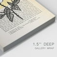 thumbnail image 3 of Floral Diary II Premium Gallery Wrapped Canvas - Ready to Hang, 3 of 9