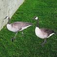 thumbnail image 4 of TEHAUX 2pcs Duck Stakes Duck Shape Acrylic Outdoor Decoration for Garden, 4 of 4