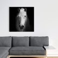 thumbnail image 2 of Cheval Monochrome - Toile 36"x36 Pouces - Impression à la Demande, 2 of 5