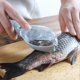 thumbnail image 2 of KAIYANG Herramienta de cocina manual de acero inoxidable para limpiar pescado (azul), 2 of 4