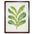 thumbnail image 1 of Royal Fern Leaf Modern Watercolour Botanical Art Print Framed Poster Wall Decor 12x16 inch, 1 of 5