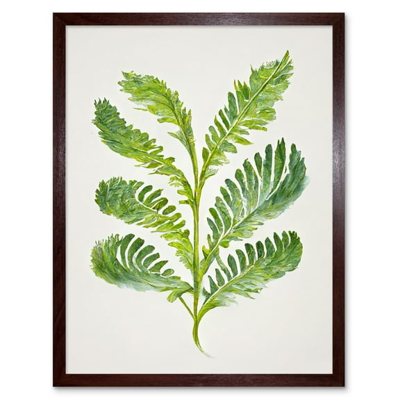 Royal Fern Leaf Modern Watercolour Botanical Art Print Framed Poster Wall Decor 12x16 inch