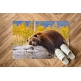 thumbnail image 6 of Brown Bear Resting on a Log Rugs, Modern Rug, Bear Rug, Animal Rugs, Round Rug, Personalized Rug, Office Rug, Soft Rug, Dining Room Rug, 2.6'x9.2' - 80x280 cm, 6 of 8
