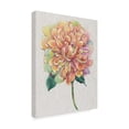 thumbnail image 2 of Tim OToole 'Multicolor Floral I' Canvas Art, 2 of 4