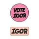 thumbnail image 1 of Juego de broches esmaltados en rosa retro «Vote Igor» para amantes de la música, 1 of 2