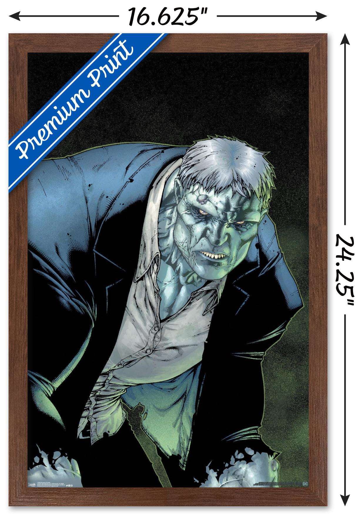 DC Comics - Solomon Grundy Wall Poster, 14.725" x 22.375", Framed