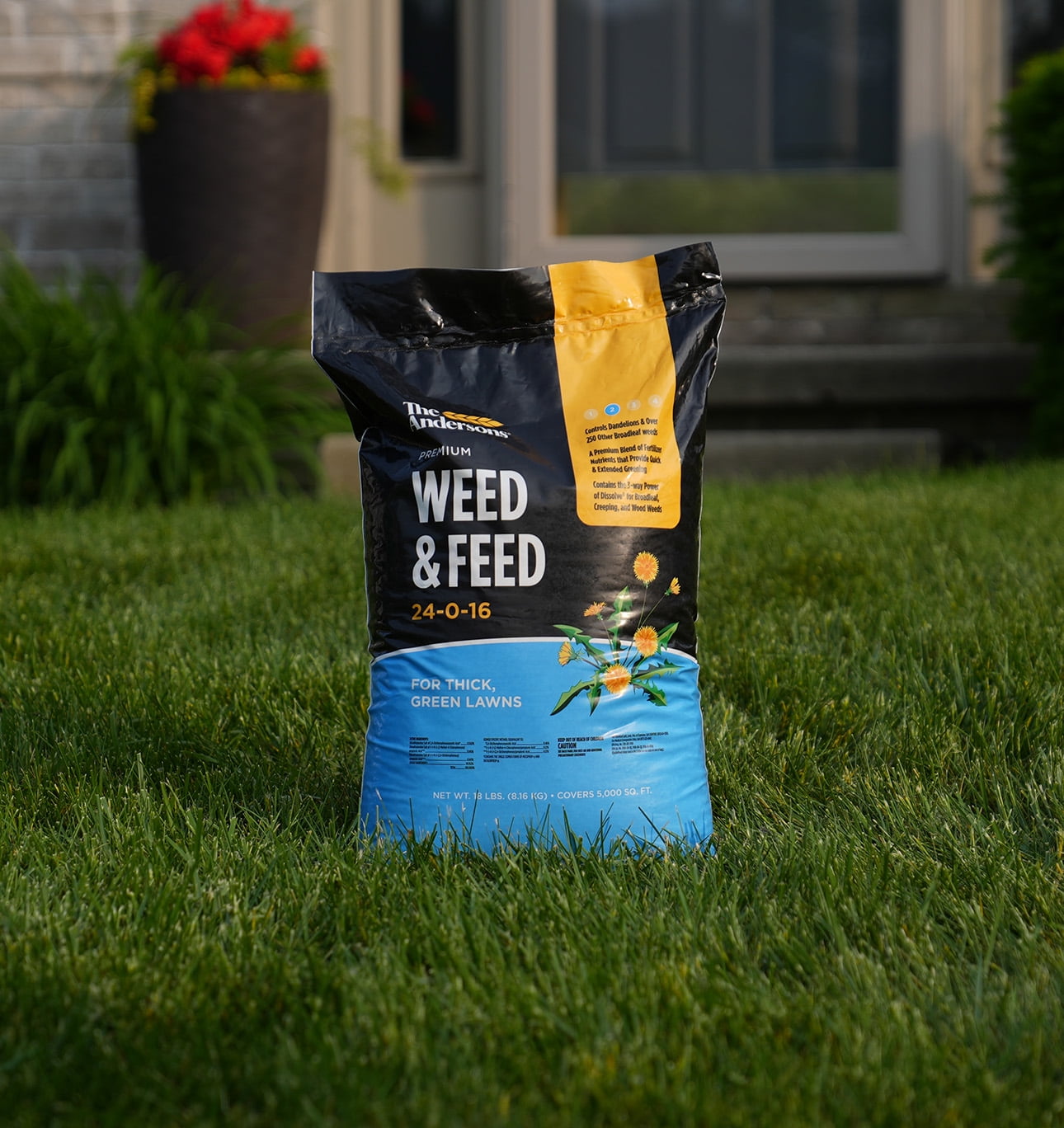 The Andersons Premium Weed and Feed 24-0-16 5,000 sq ft 18lbs.