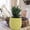 Green, variant on LHWEN Cute animal shape ceramic flower pot, 18x8 cm, succulent cactus, unique design, gift for plant lovers, indoor desk and window sill decoration, durable and chic