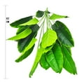 thumbnail image 2 of 32" Greenery Living Room Tropical Fake Plant Faux Banana Tree Home Decoration Artificial Palm RED EDGE, 2 of 8
