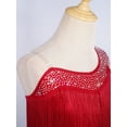 thumbnail image 5 of TiaoBug Kids Girls Latin Dance Outfit Ballroom Salsa Tassel Fringe Dress One Shoulder Crop Top and Skirt Set Burgundy 14, 5 of 7