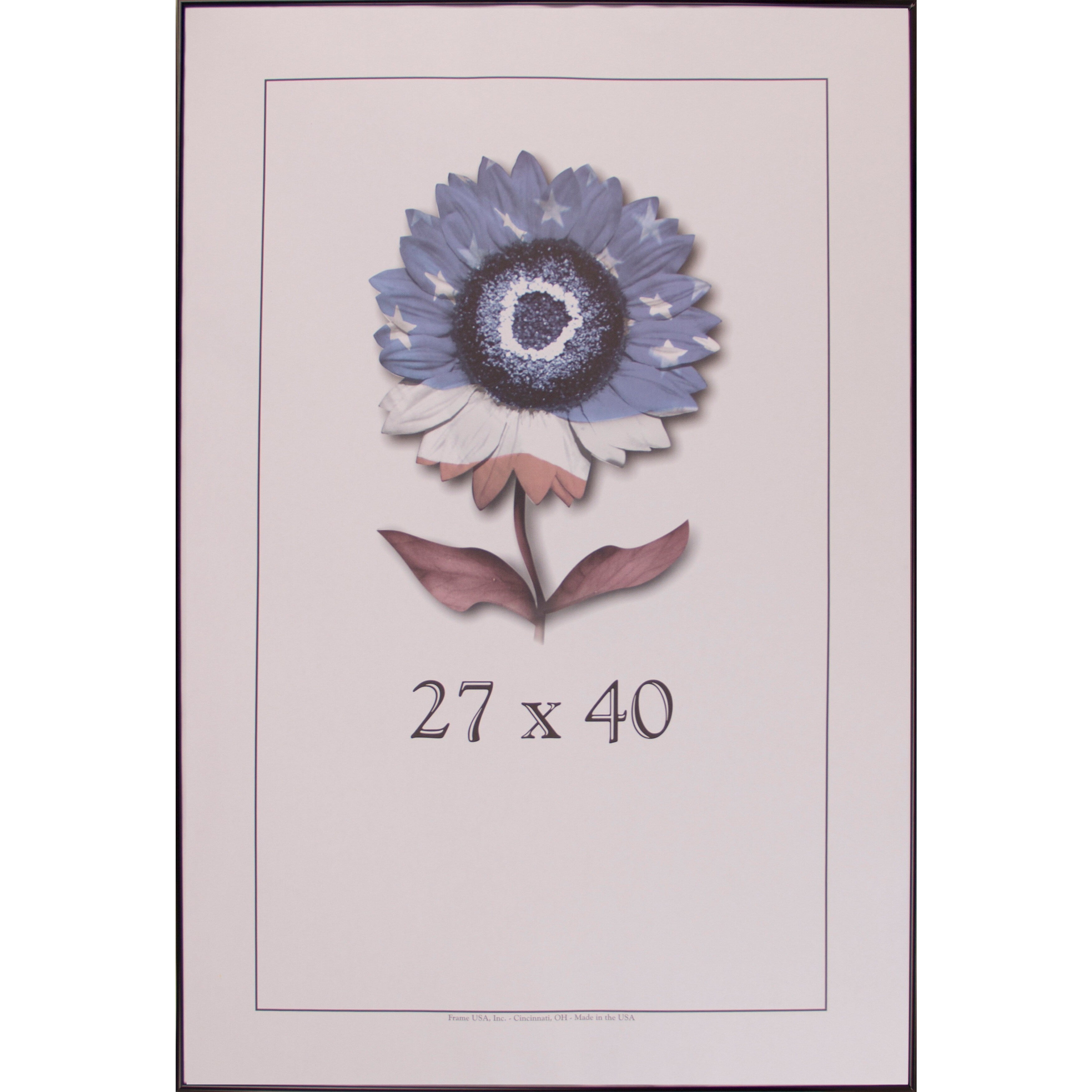 Frame USA Metal I Picture Frame 27x40