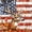 Patriotic 02, variant on Manfei Cartoon Eagle Queen Comforter Set, Patriotic USA Flag Comforter Sets Queen, Red White Brown, Navy Reversible 3pcs, 1 Comforter and 2 Pillowcases