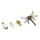 thumbnail image 4 of Juego de ciclo de crecimiento animal, juguetes Montessori, materiales didácticos para niños y niñas, rompecabezas libélula 7x7cm, 4 of 9