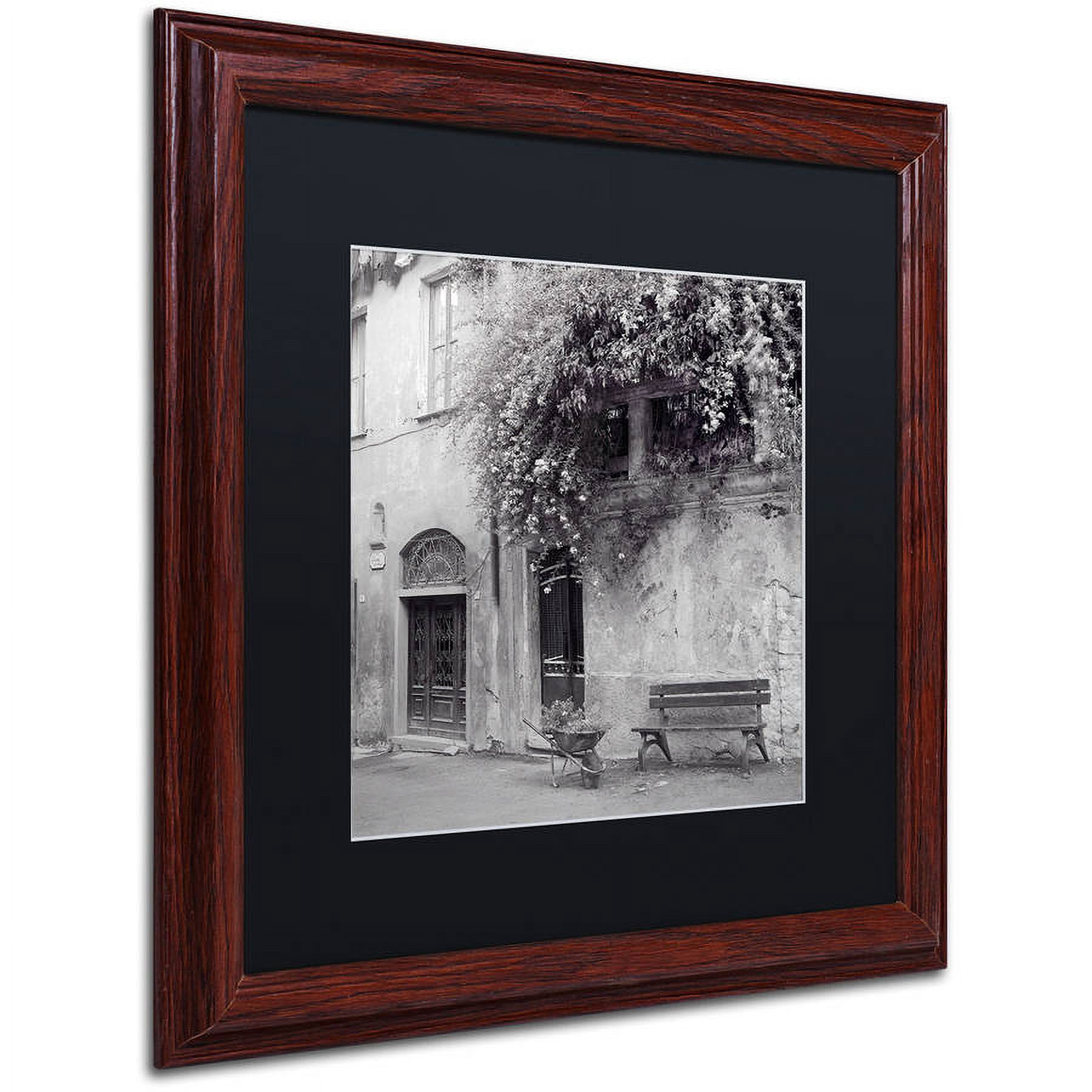 Trademark Fine Art "Liguria I" Canvas Art by Alan Blaustein, Black Matte, Wood Frame