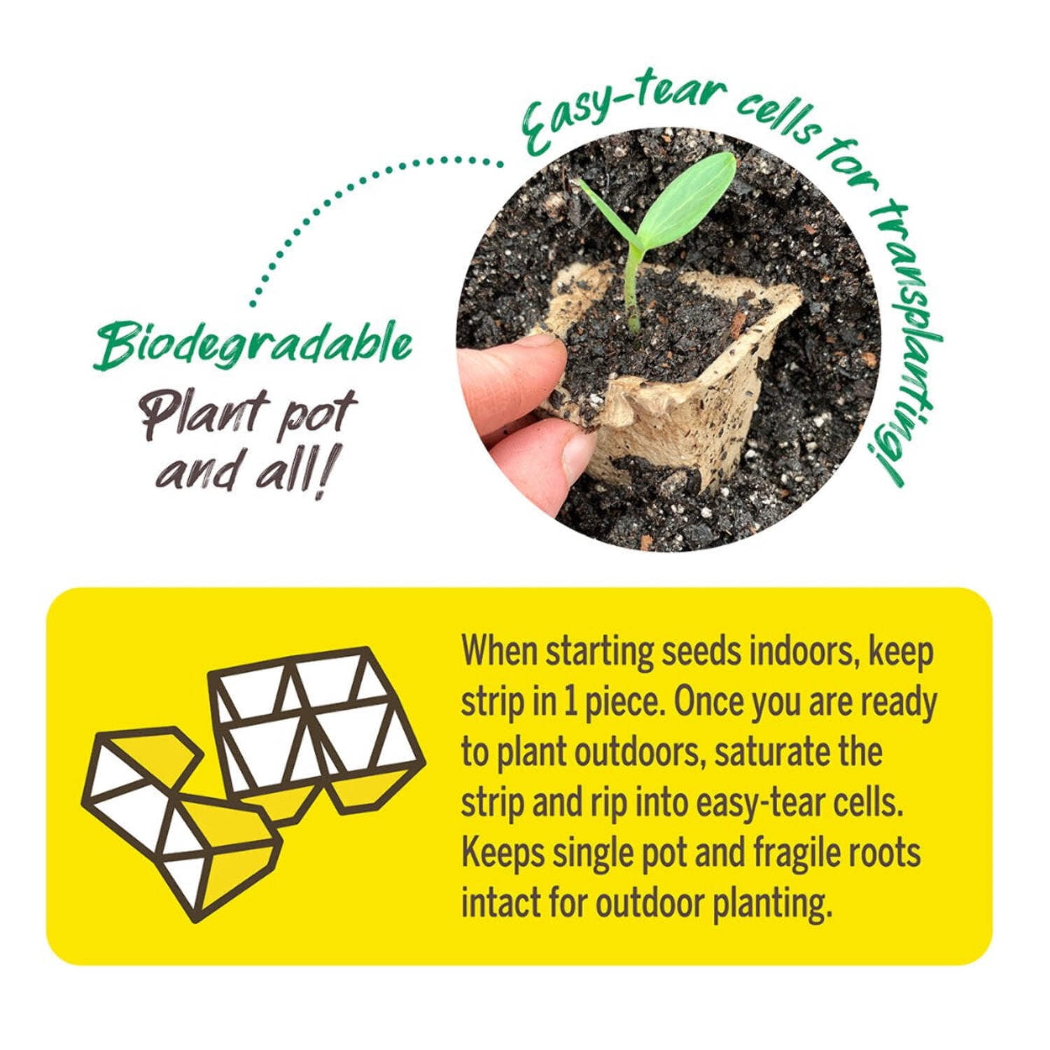 Jiffy Organic Seed Starting 10 Biodegradable Peat Strips (50 Strips - 500 Pot Cells)