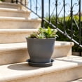 thumbnail image 5 of Hyknon 4.7 Inch Planter Pot with Saucer, Modern Indoor Plastic Plant Pot for Herbs and Flowers, Lightweight Flower Pot Container for Home Office Desk Window Sill Decor, 5 of 6