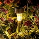 thumbnail image 1 of Luces solares para jardín al aire libre, luces LED para paisaje/camino, acero inoxidable, paquete de 12 (blanco cálido) ZefeiWu 8390606883131, 1 of 1