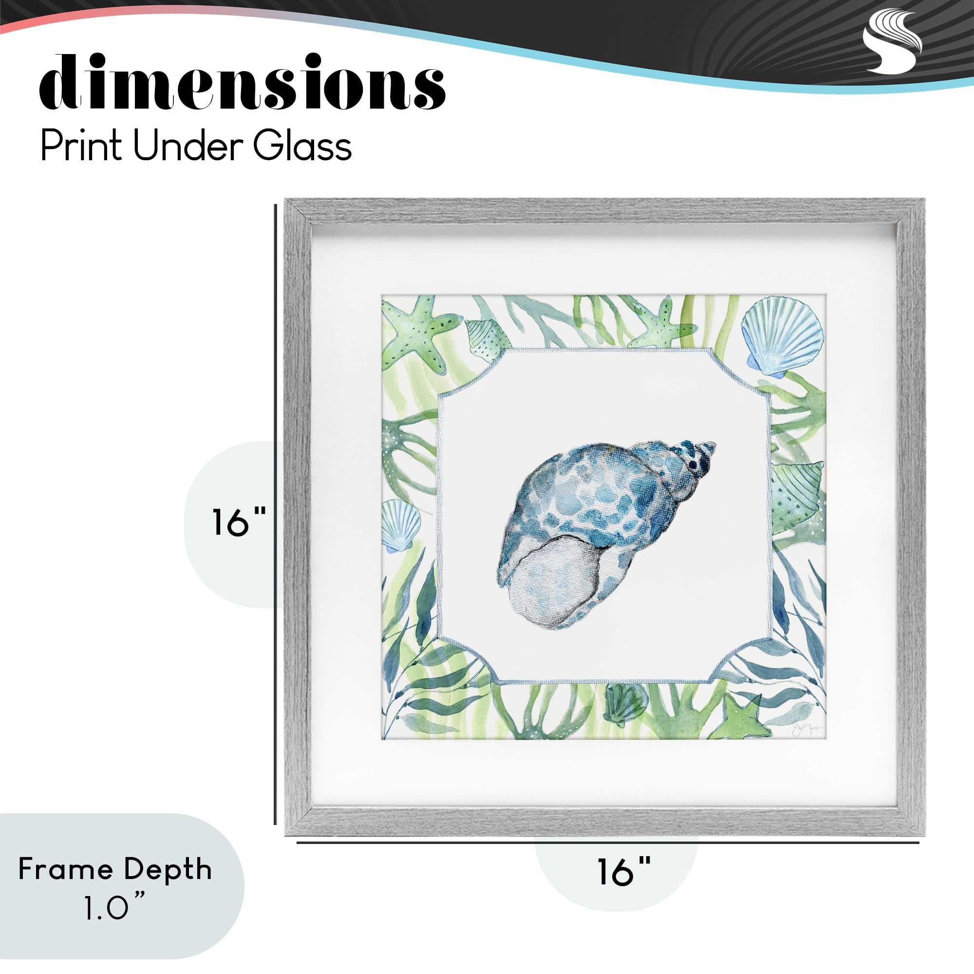 Stupell Industries Spotted Cowrie with Seaweed Gray Framed Print Under Glass, design by Janet Tava
