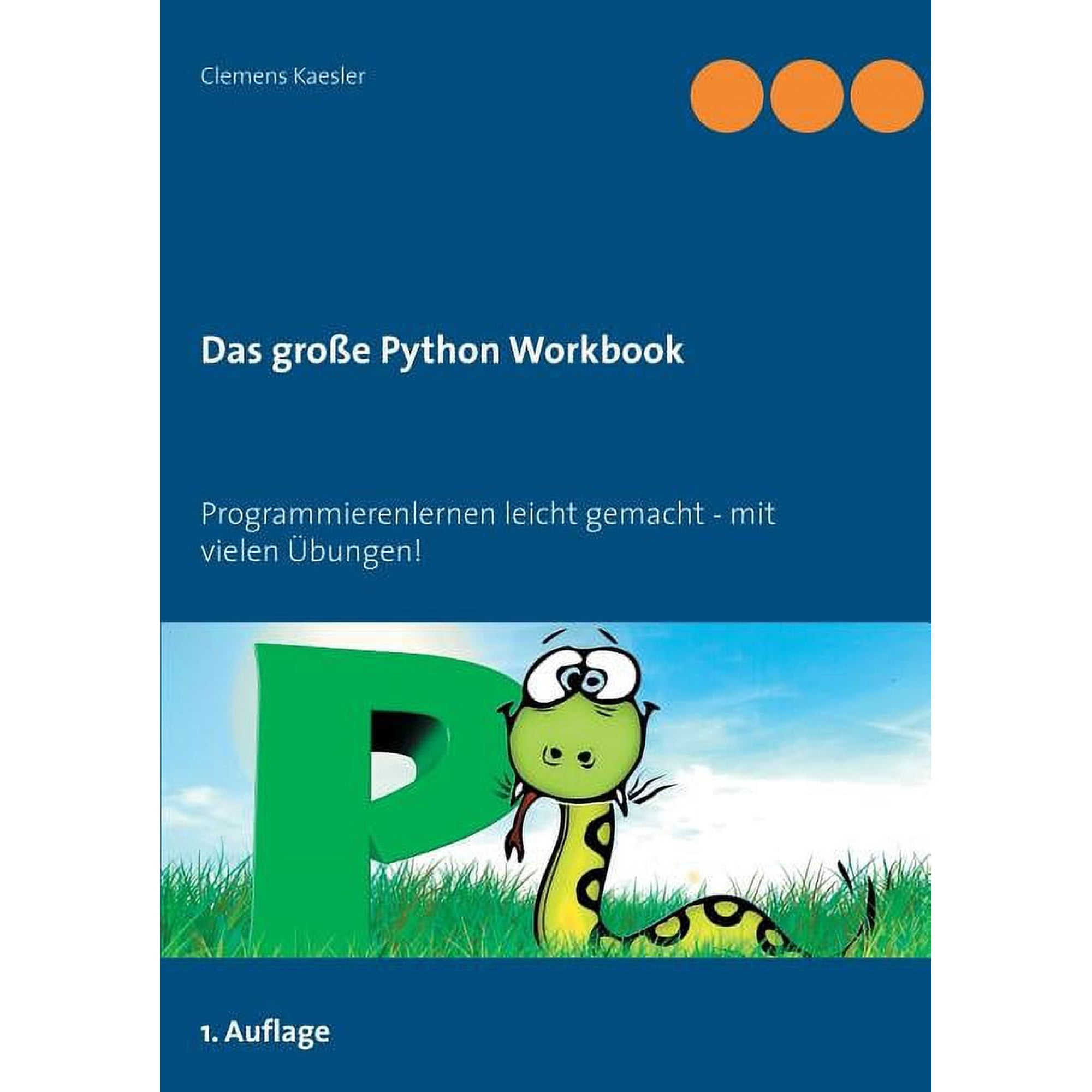 Das groÃe Python Workbook: Programmieren lernen leicht gemacht - mit vielen Ãbungen! (Paperback)