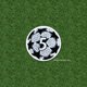 thumbnail image 1 of Parche De Fútbol Insignia Pelota EPL La Liga Serie, 1 of 4