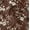 Brown, variant on Soimoi Blue Fabric - By the Yard - 42 Inch Wide - Rose Floral Pattern Textile - Romantic and Delicate Designs for Stylish Projects Printed Fabric